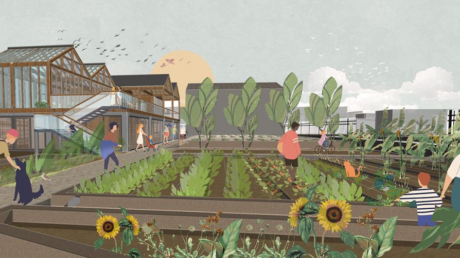 Rendering of the outdoor growing area on the urban farm