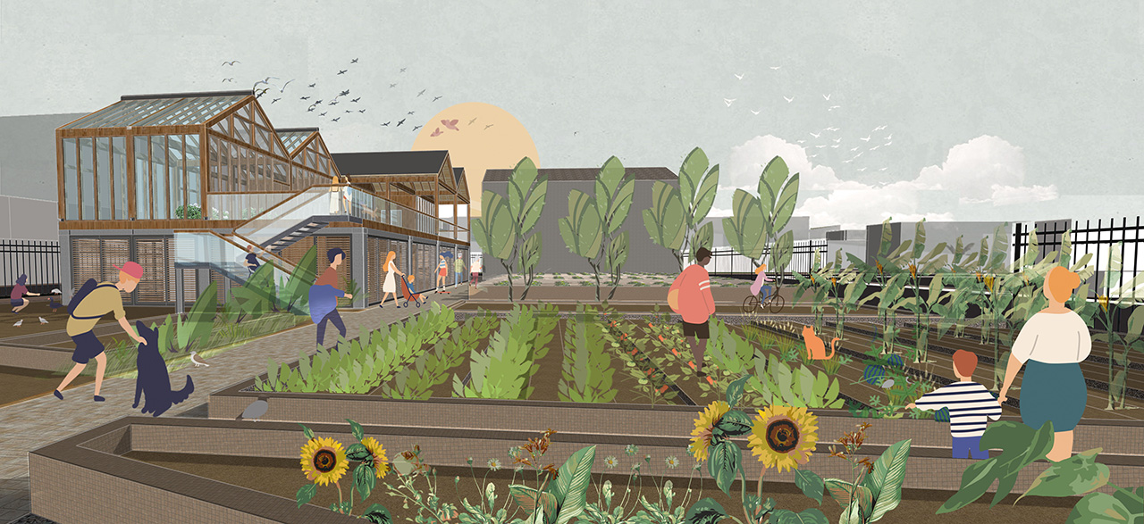 Rendering of the outdoor growing area on the urban farm